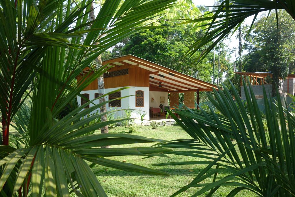 Los Delfines Lodge Puerto Viejo de Talamanca Cameră foto