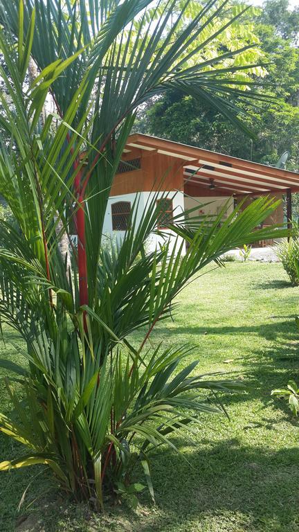 Los Delfines Lodge Puerto Viejo de Talamanca Cameră foto